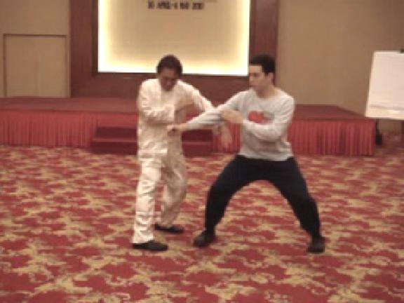 Wing Choon Kungfu