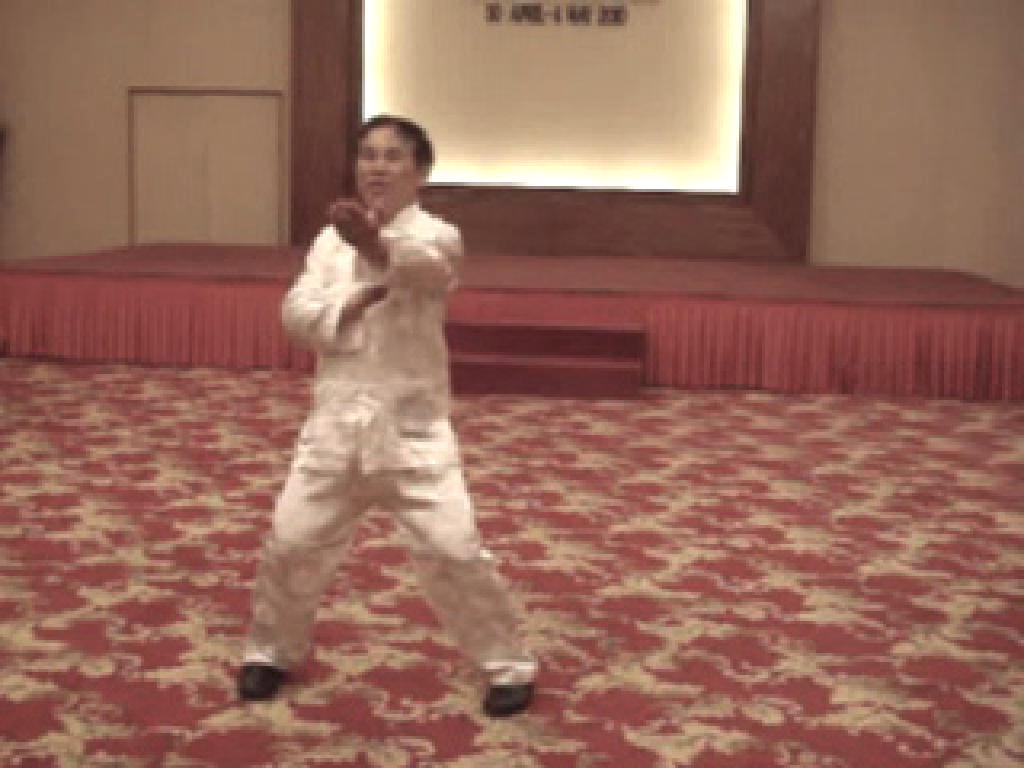 Wing Choon Kungfu