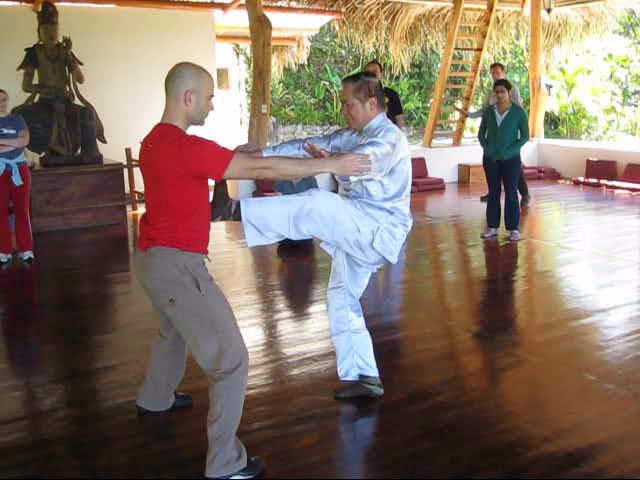 Wing Chun Kung Fu