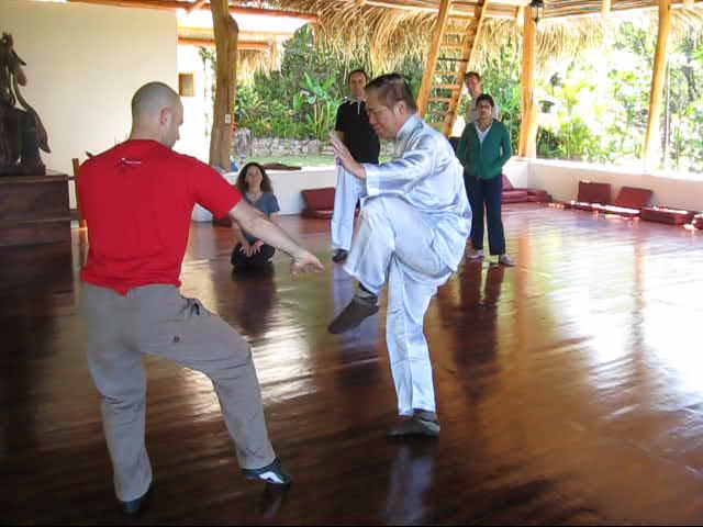 Wing Chun Kung Fu