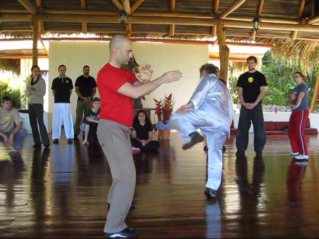 Wing Chun Kung Fu