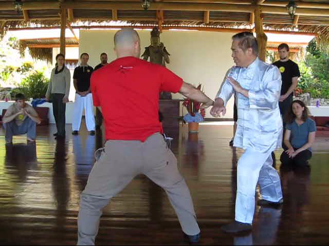 Wing Chun Kung Fu