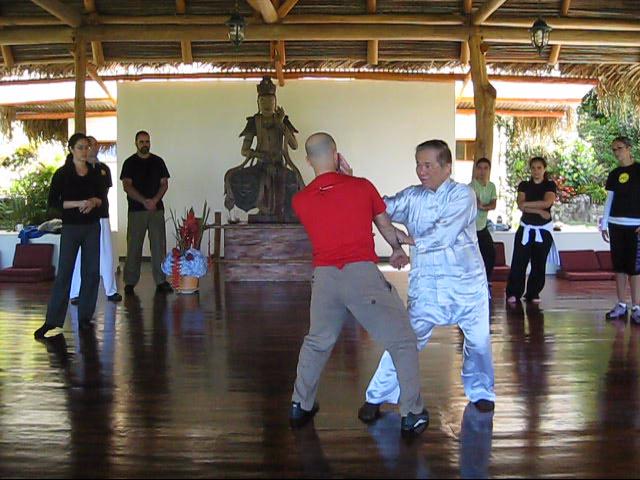 Wing Chun Kung Fu