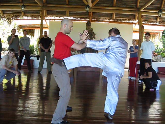 Wing Chun Kung Fu