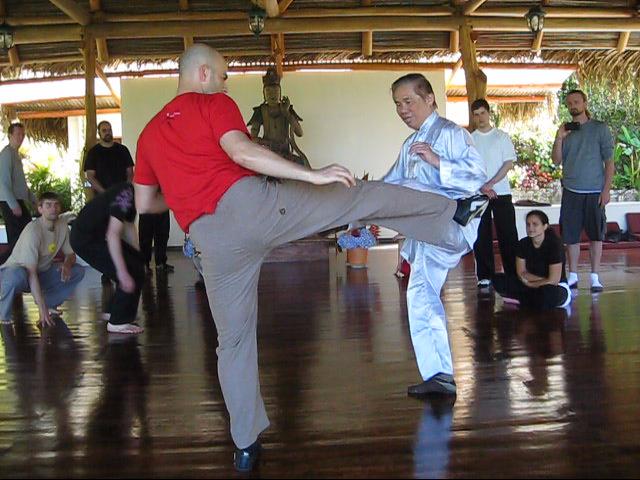 Wing Chun Kung Fu