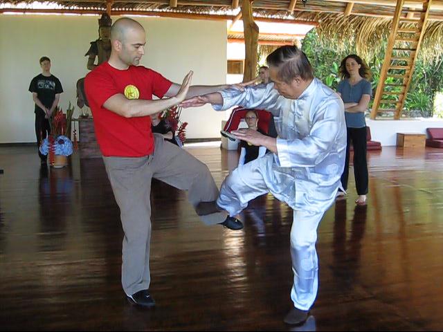 Wing Chun Kung Fu