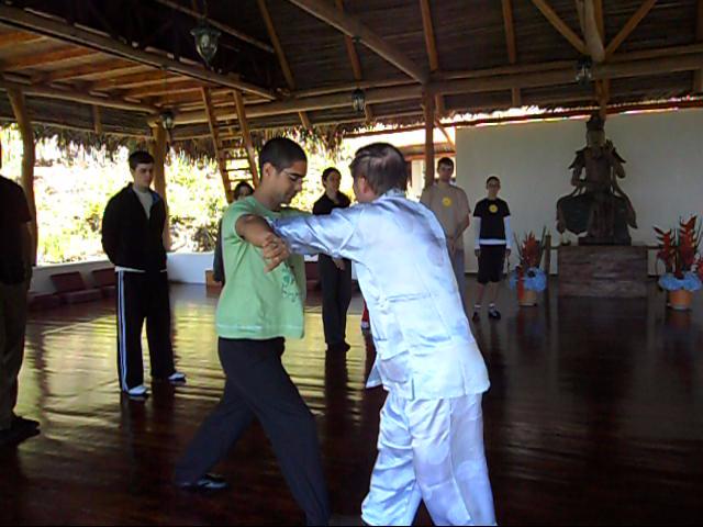 Wing Chun Kung Fu