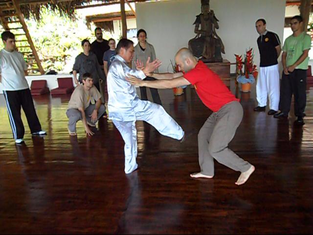 Wing Chun Kung Fu