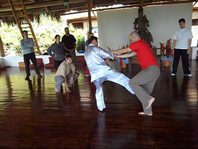 Wing Chun Kung Fu