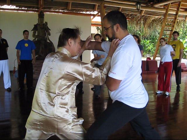 Wing Chun Kung Fu