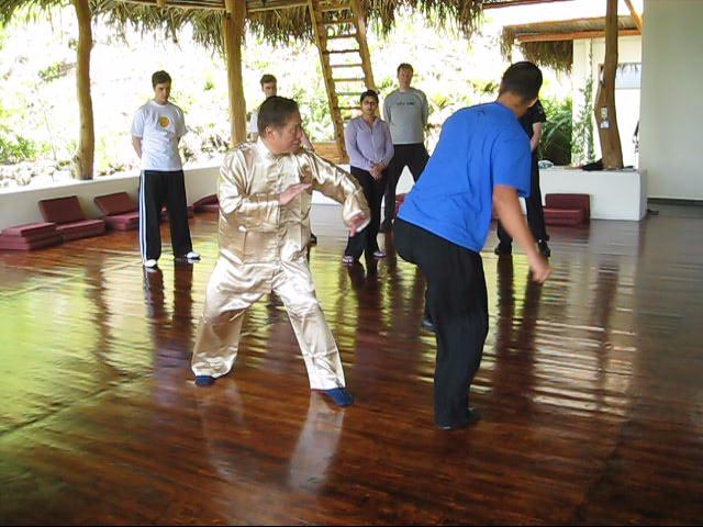 Wing Chun Kung Fu