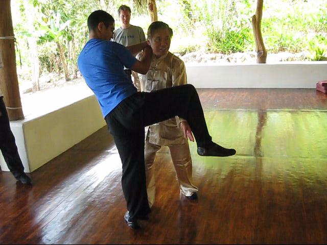 Wing Chun Kung Fu