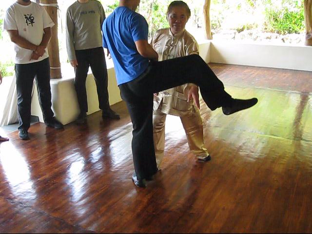 Wing Chun Kung Fu