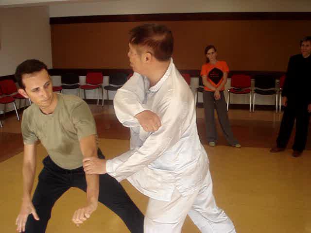 Shaolin Kungfu, Kung Fu