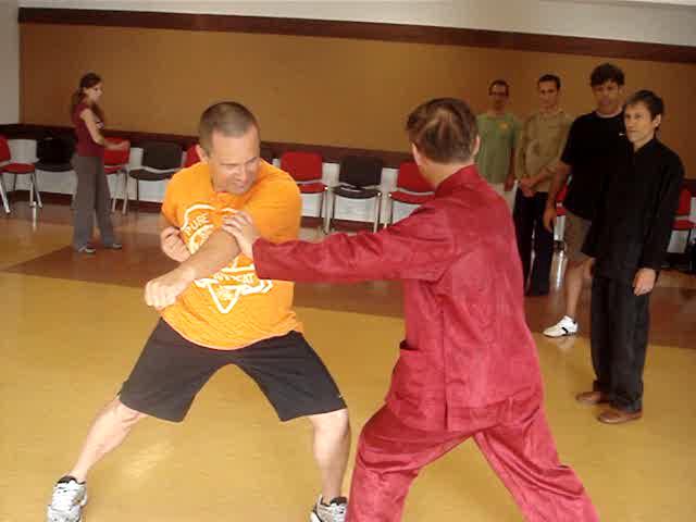 Shaolin Kungfu