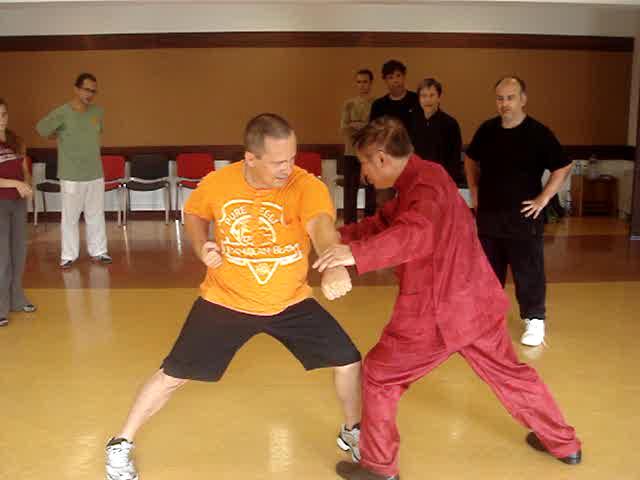 Shaolin Kung Fu