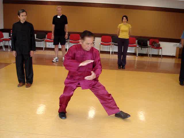 Waist rotation in Taijiquan, Tai Chi Chuan