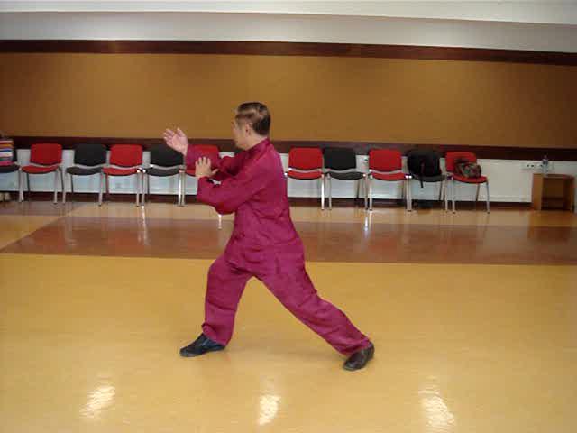 Wahnam Taijiquan