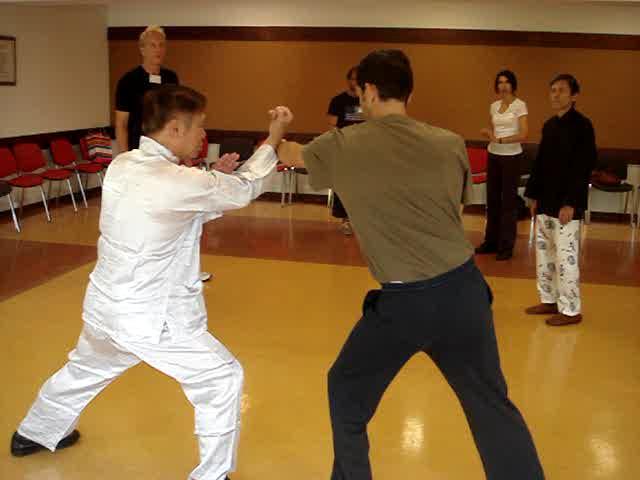 Taijiquan against Other Martial Arts