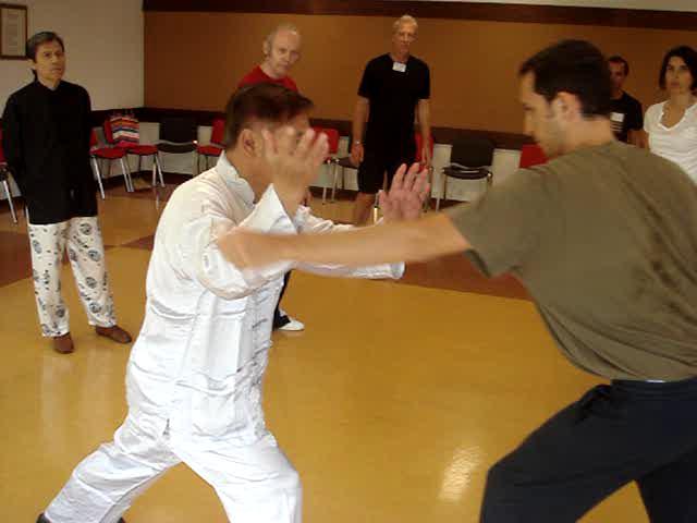 Taijiquan, Tai Chi Chuan