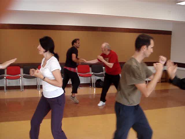 Taijiquan, Tai Chi Chuan