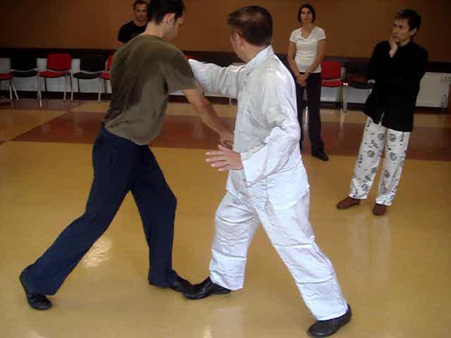 Wahnam Taijiquan, Tai Chi Chuan