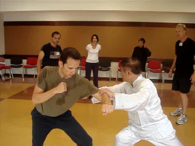 Taijiquan, Tai Chi Chuan