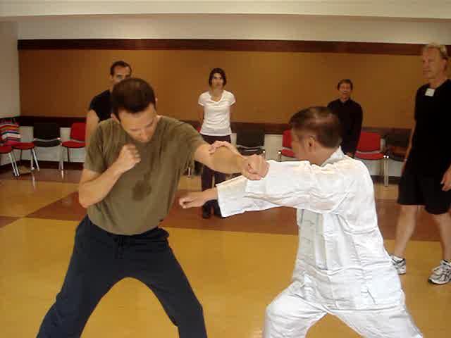 Tai Chi Chuan, Taijiquan