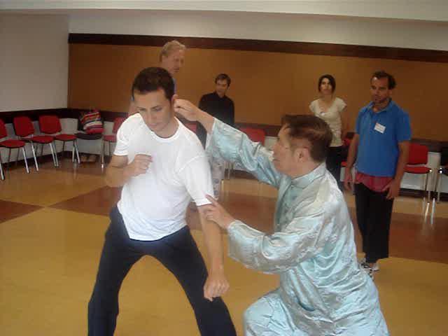 Wahnam Taijiquan