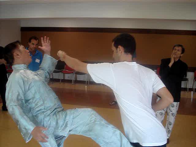 Taijiquan, Tai Chi Chuan