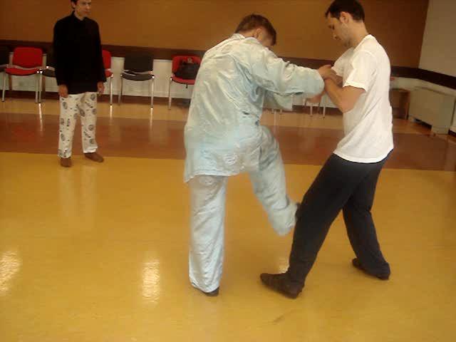 Taijiquan, Tai Chi Chuan