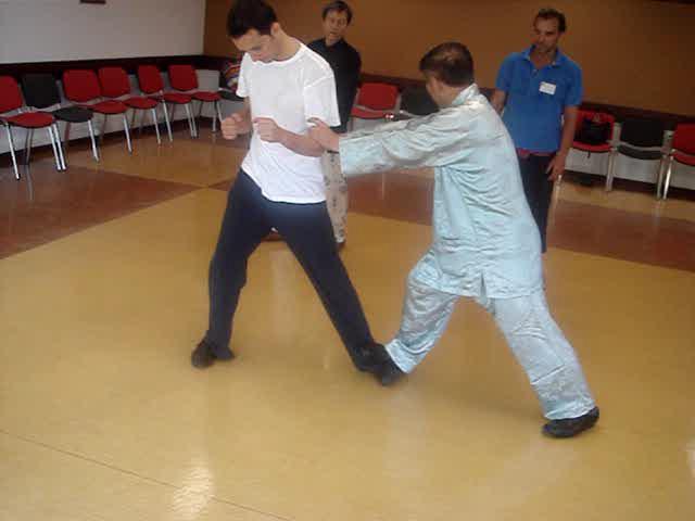 Taijiquan, Tai Chi Chuan