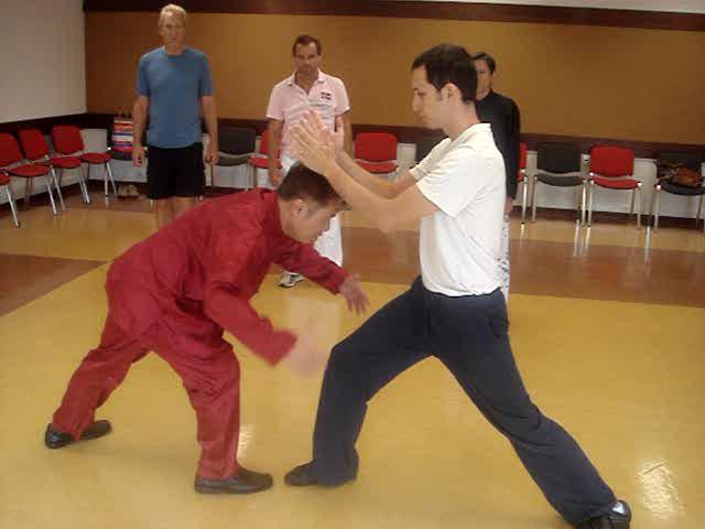 Wahnam Taijiquan, Tai Chi Chuan