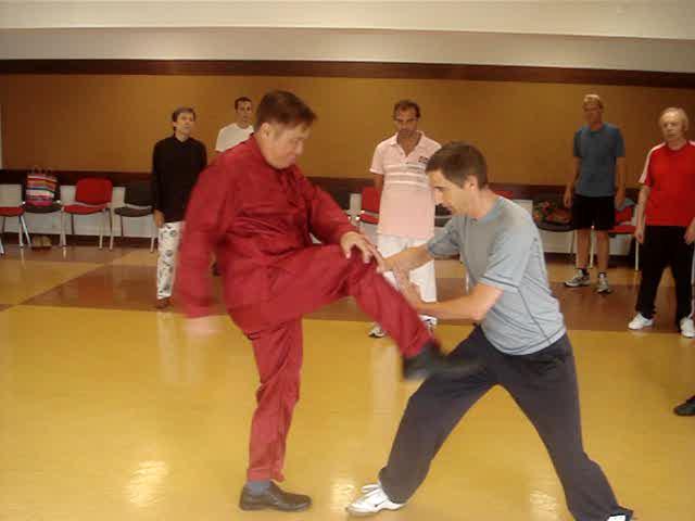 Taijiquan, Tai Chi Chuan