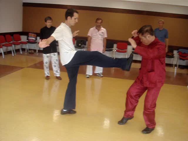 Wahnam Taijiquan, Tai Chi Chuan