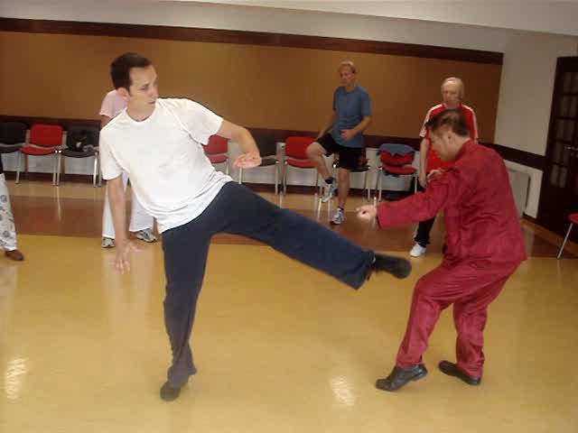 Taijiquan, Tai Chi Chuan