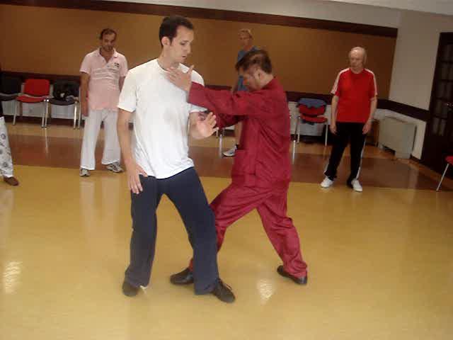 Wahnam Taijiquan, Tai Chi Chuan