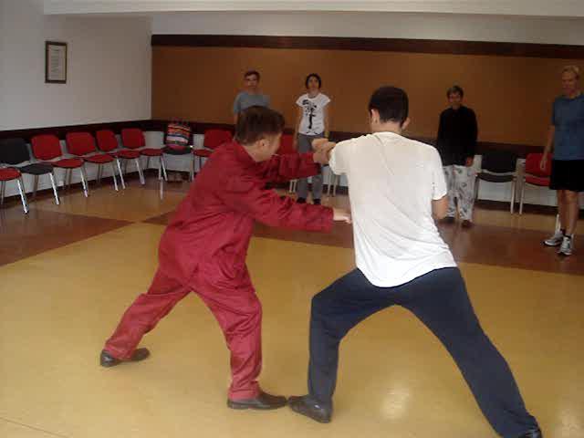 Shaolin Kungfu