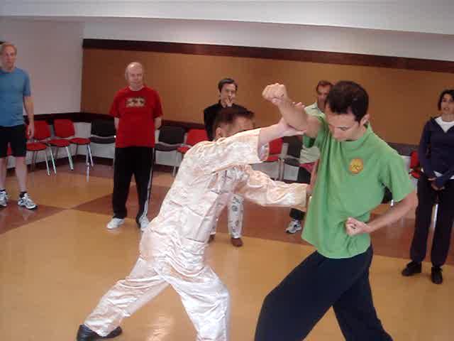 Shaolin Kungfu