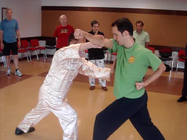 Wahnam Taijiquan against Other Martial Arts