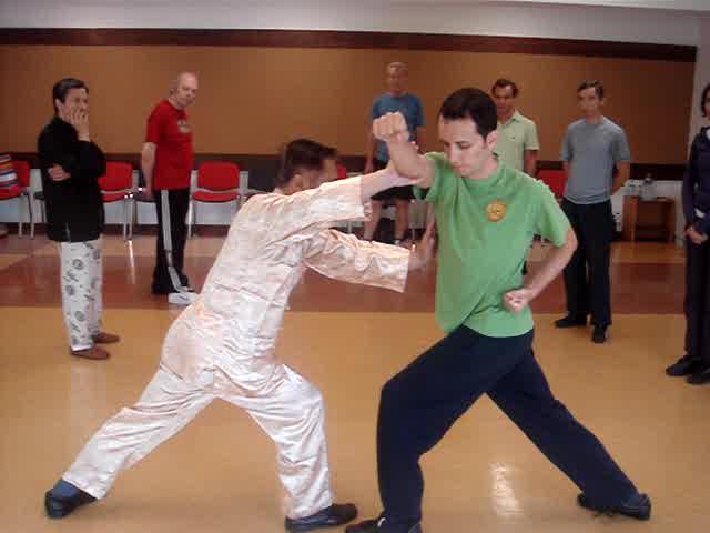 Shaolin Kungfu