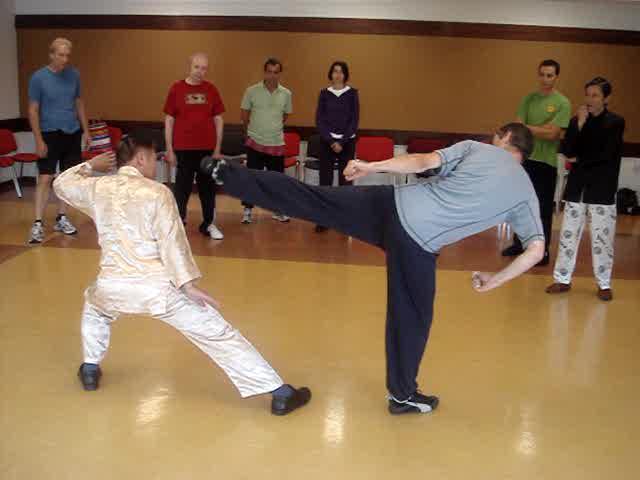 Agaiknst Taekwondo Kicks