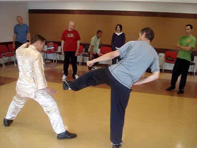 Wahnam Taijiquan, Tai Chi Chuan