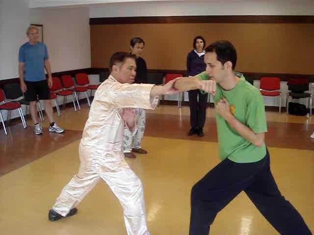 Wahnam Taijiquan, Tai Chi Chuan