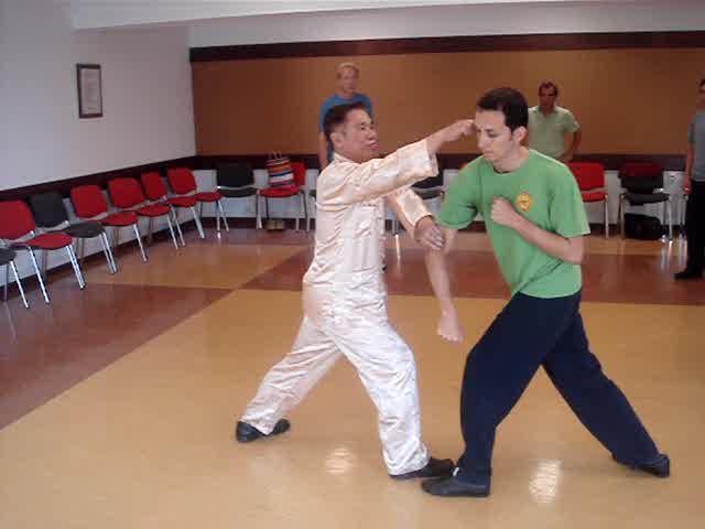 Wahnam Taijiquan, Tai Chi Chuan