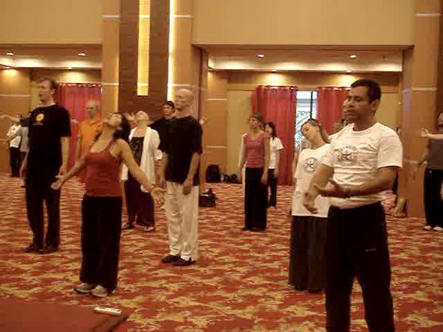 Shaolin Qigong