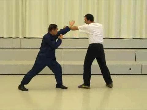 Shaolin-Taijiquan