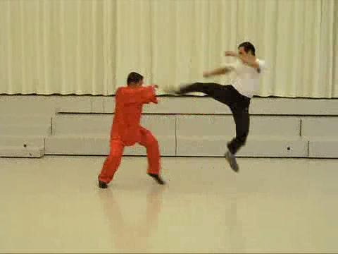 Shaolin-Taijiquan