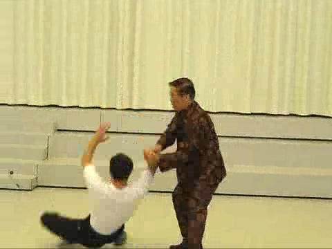 Shaolin-Taijiquan