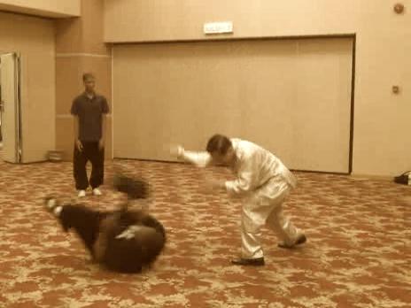 Intensive Shaolin Kungfu Course